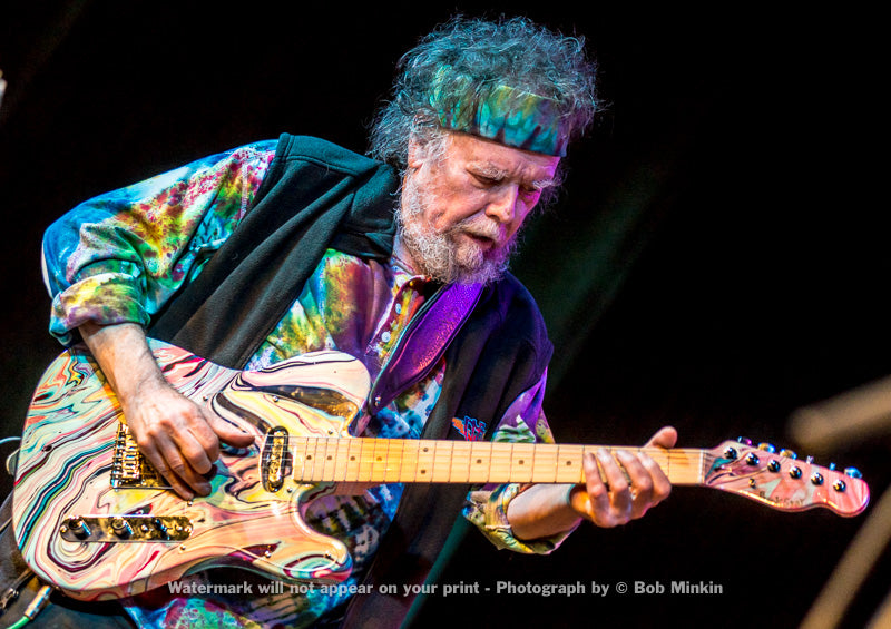 David Nelson Band - Terrapin Crossroads, San Rafael, CA 11.20.15 - Bob Minkin Photography