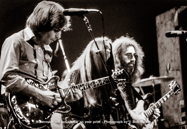 Grateful Dead - Madison Square Garden, New York, NY - 1.8.79 - Bob Minkin Photography
