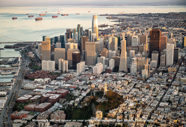 Coit Tower and Downtown San Francisco - Bob Minkin Photography