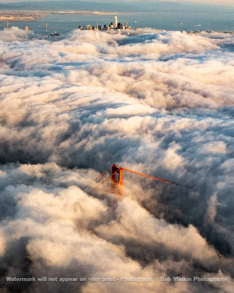 Peek A Boo with the Fog - Bob Minkin Photography