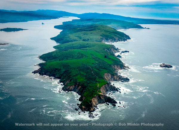 Tomales Point—Point Reyes - Bob Minkin Photography